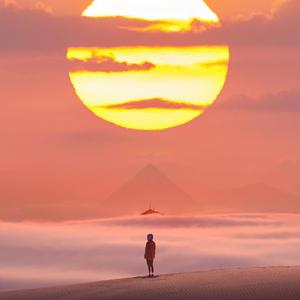 愛にできることはまだあるかい