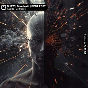 Go Insane (Extended Mix)