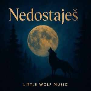 Nedostaješ