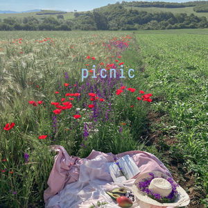 picnic