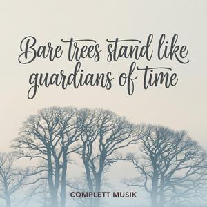 The wind sweeps Across the surface.