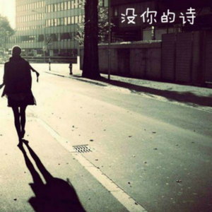 没你的诗