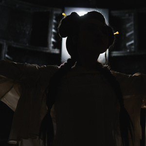 Fifi Rong 创化论 creative evolution demo