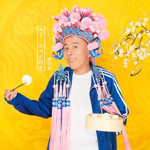 妹子你咋不理哥-柳铁林
