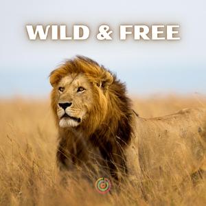 Wild and Free