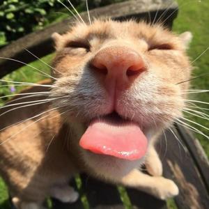 Fugindo dos Problemas