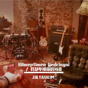 Bilmeptimen Qedringni / 我却不懂你的可贵