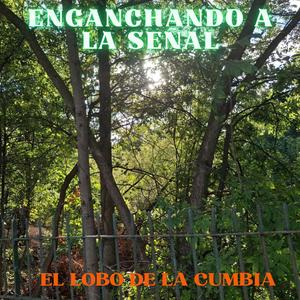 ENGANCHANDO A LA SEÑAL