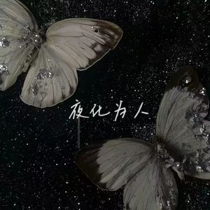 夜化为人