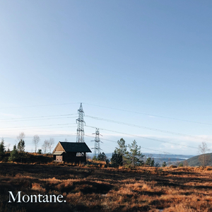 Montane