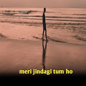 MERI JINDAGI TUM HO