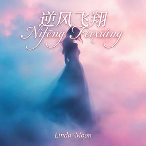 逆风飞翔 (Nìfēng Fēixiáng)