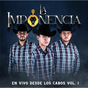 De Culiacan (En Vivo)