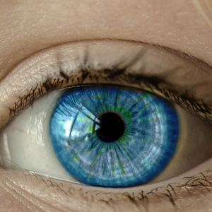 Muchachos, Ahora Nos Volvimos A Ilusionar (Freestyle)