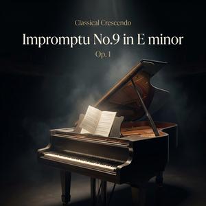 Impromptu N.9 in E minor, Op.1