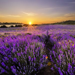 钢琴白噪音里的入眠之境