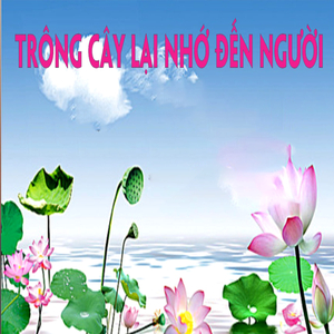 Hoa trong vườn Bác
