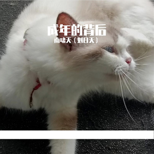 成年的背后