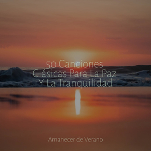 Lamentando Melodías de Tempestad