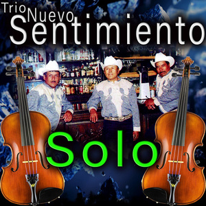 Irremediablemente
