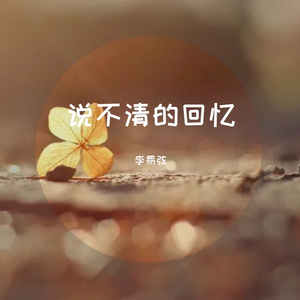 说不清的回忆