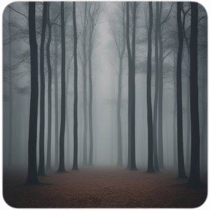 எதுவும் நிரந்தரமில்லை எனத் தெரிந்து