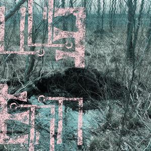 worm alone: this amassing of ornament on decay, this ever-abiding thought