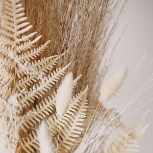 Disciplina De Entrenamiento