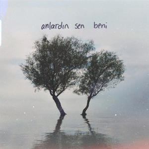 anlardın sen beni
