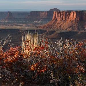 隔天涯之遥 而不生疏
