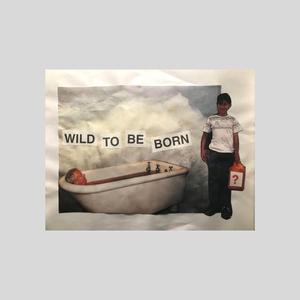 Sympathetic Vibration