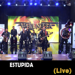 Estúpida (Live)