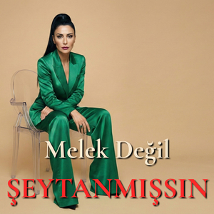 Melek Değil Şeytanmışsın