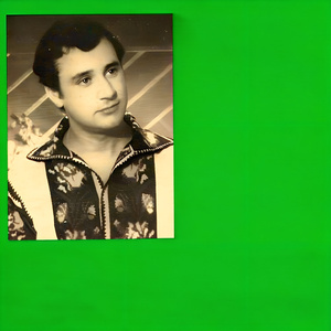 În Pădurea Sarului