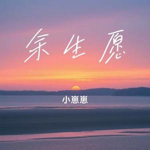 余生愿 (Cover 一树星火)