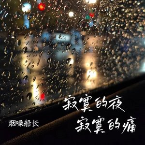 寂寞的夜寂寞的痛