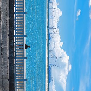 心若无处栖息，到哪都是流浪