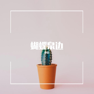 蝴蝶泉边