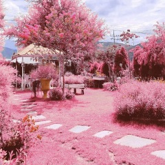 come的喂ABC (DJ版)
