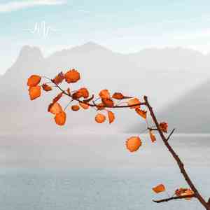 惊奇如梦 (钢琴)