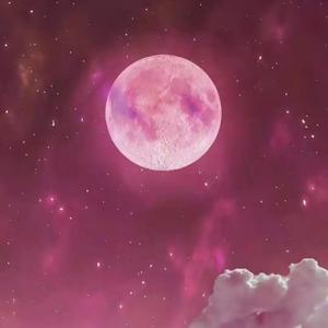 星星失眠（抖音温柔男声版）（翻自 哈利Halleeee）