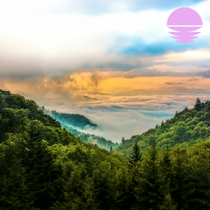 Chimney Tops Drizzle (Rain)