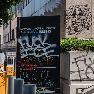 F*** ICE