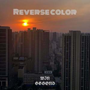 Reverse color（Prod by EvoluK）