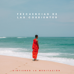 Neutralizador Pacífico
