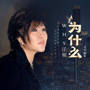 为什么 (DJ何鹏版伴奏)