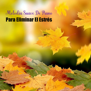 Aumenta La Autoconciencia