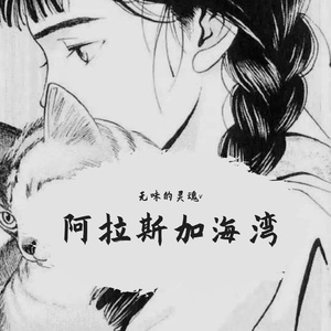菲道尔-阿拉斯加海湾(Remix)