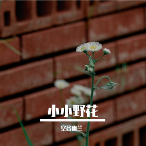 小小野花