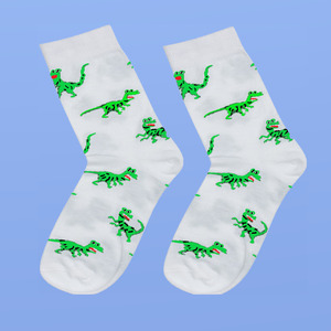 Носочки с динозаврами